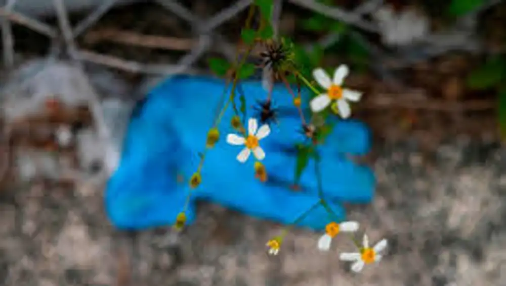 Una mujer compartió la foto en la que se ven cientos de guantes usados en el suelo