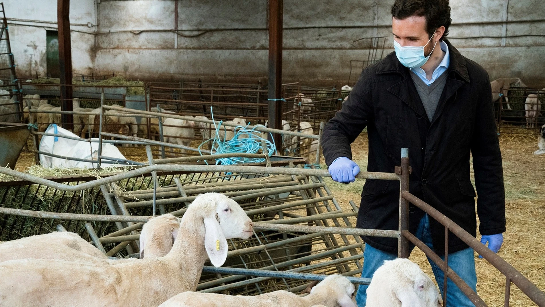 visita Pablo Casado a una explotación ganadera en Valverde de Alcalá.