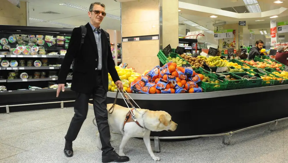 Un perro guía ayuda a una persona ciega en el supermercado