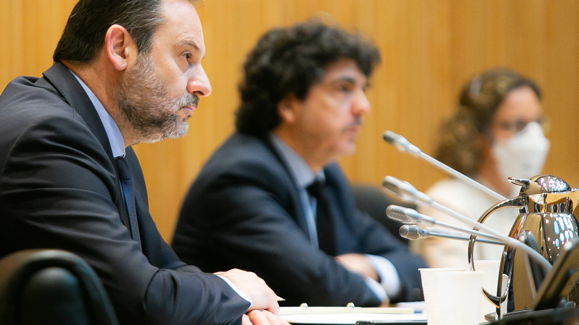 El ministro José Luis Ábalos comparece en el Congreso