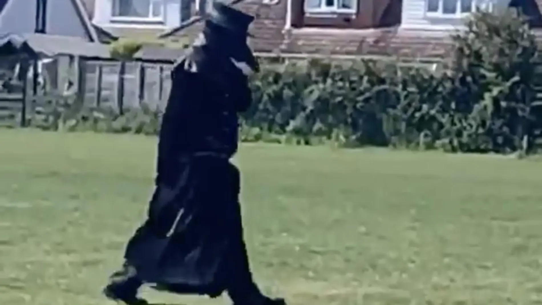El hombre disfrazado paseándose por la localidad inglesa de Norwich