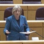 La consellera Ana Barceló, en su intervención en la Comisión General de las CCAA en el Senado