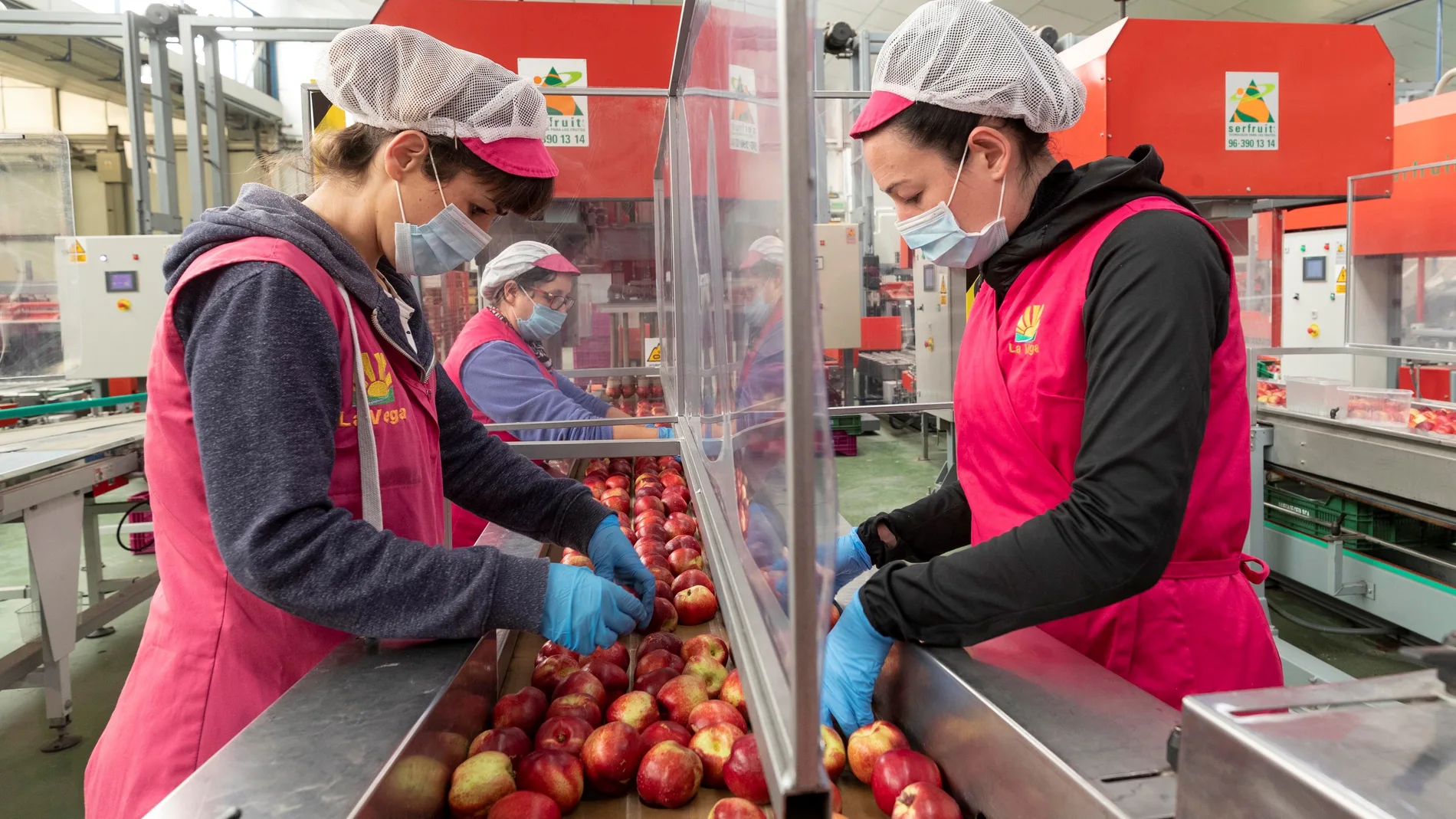 Trabajadoras de cooperativa agraria
