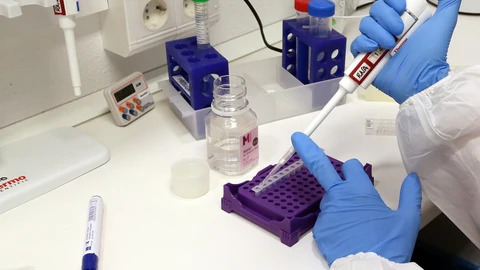 Pruebas en un laboratorio.UMA01/05/2020