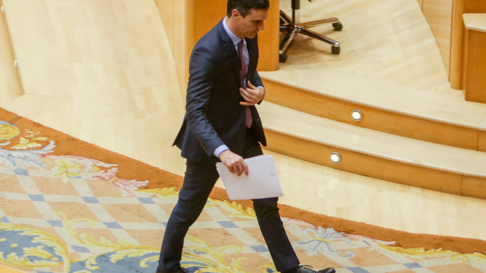 Sesión de control al Gobierno en el Senado con Pedro Sánchez