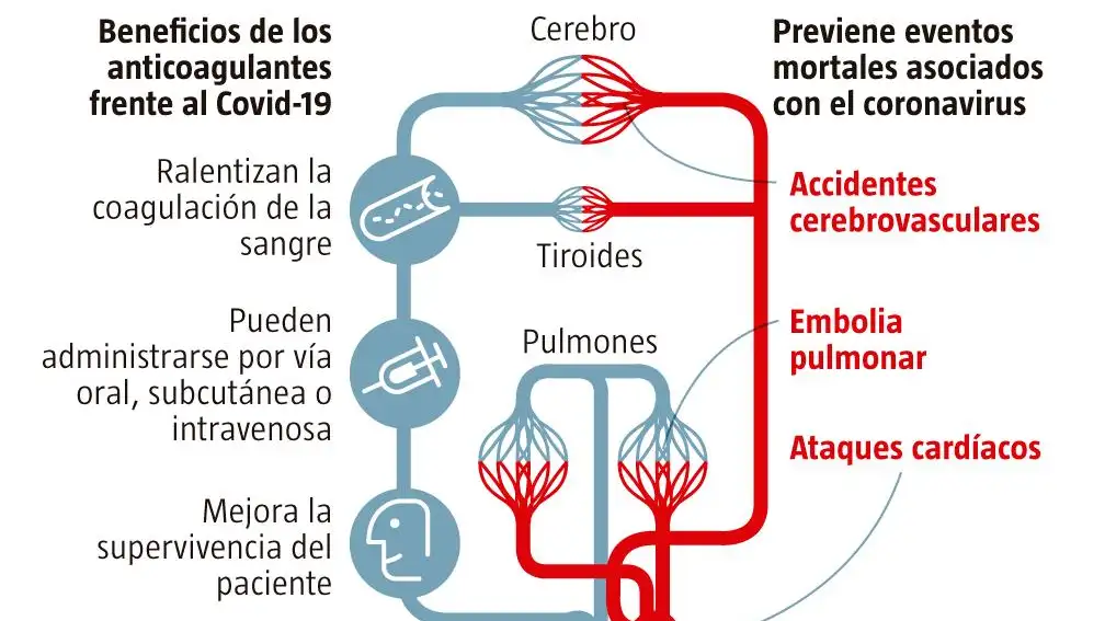 Así actúan los anticoagulantes frente al COVID-19