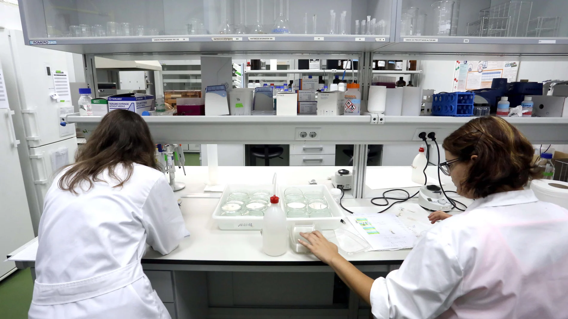 Dos investigadoras en los laboratorios del Itacyl en Valladolid