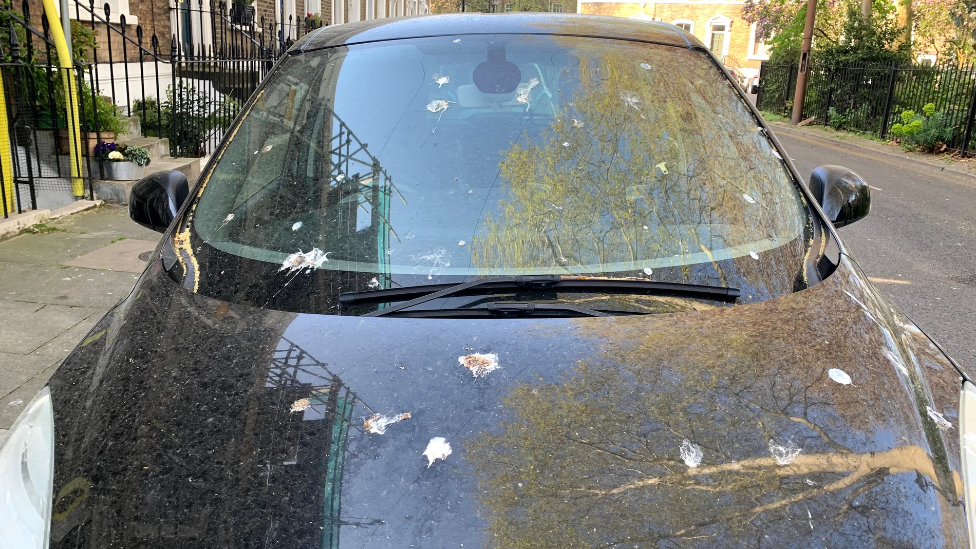 Ford trabaja con caca de pájaro artificial para proteger la pintura del coche