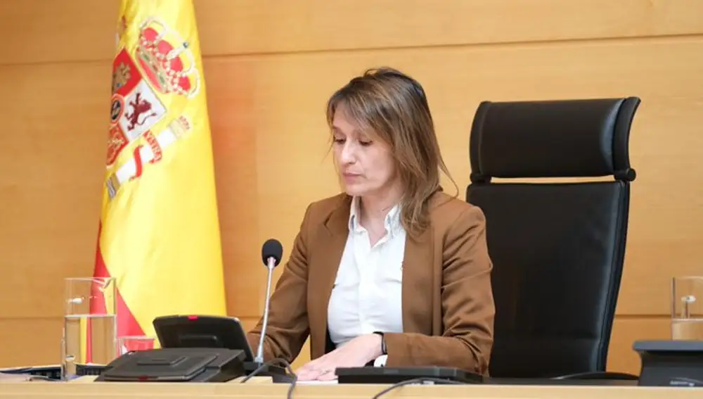 La consejera de Educación, Rocío Lucas, durante su comparecencia en las Cortes