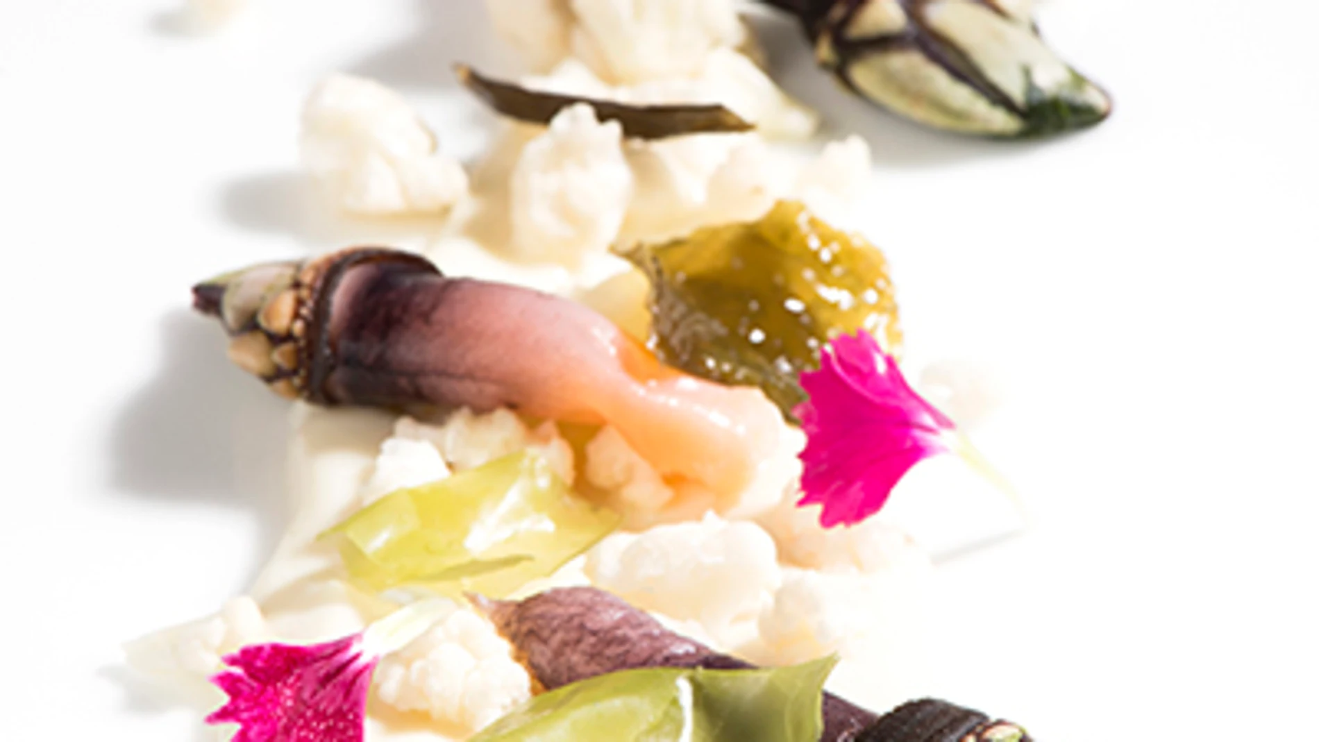 Percebes, coliflor, algas y clavelinas son los ingredientes de este plato de Ricardo Sotres, de El Retiro, en Llanes