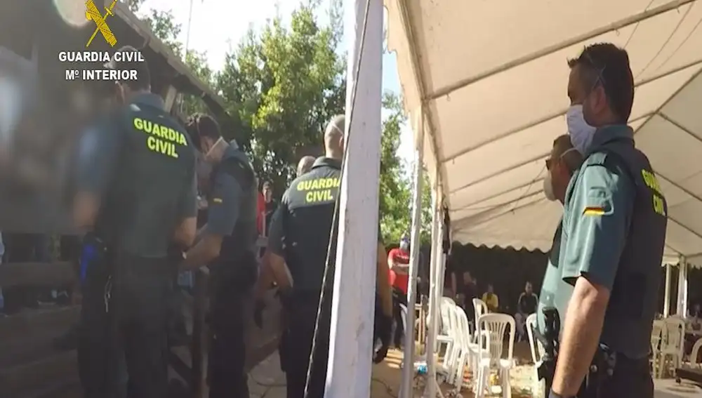 La Guardia Civil desmantela una pelea de gallos clandestina en Sevilla