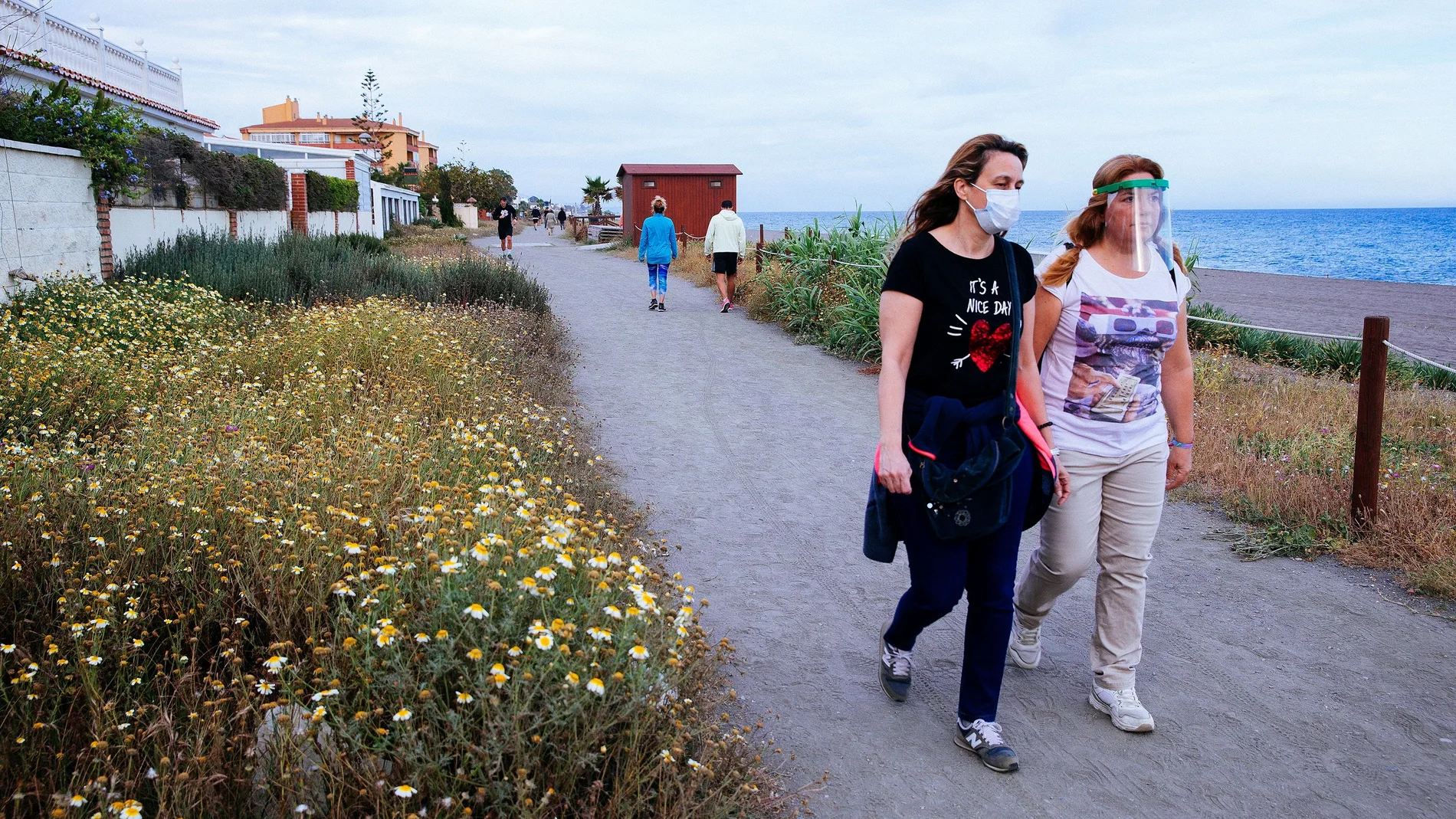 Situación del coronavirus en Málaga