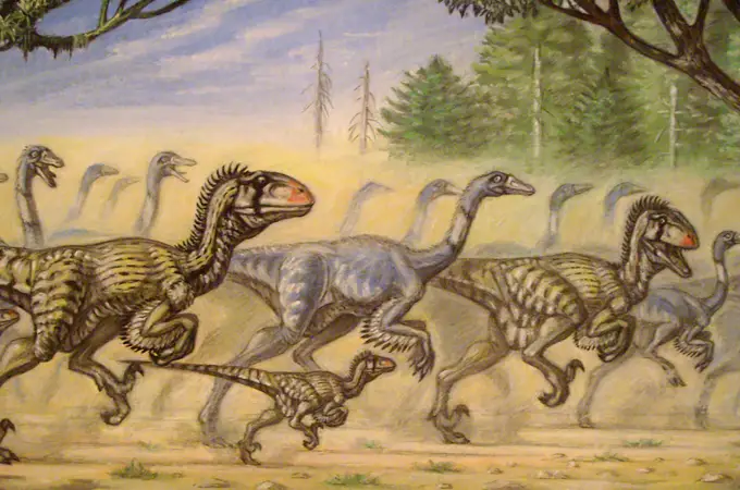 ¿De verdad cazaban en grupo los dinosaurios?
