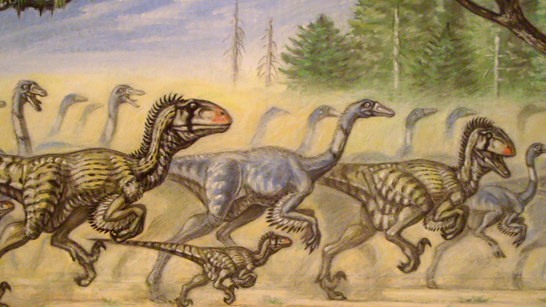 La imagen muestra a una manada de dinosaurios herbívoros, probablemente Gallimimus, acosados por un grupo de Utahraptor.