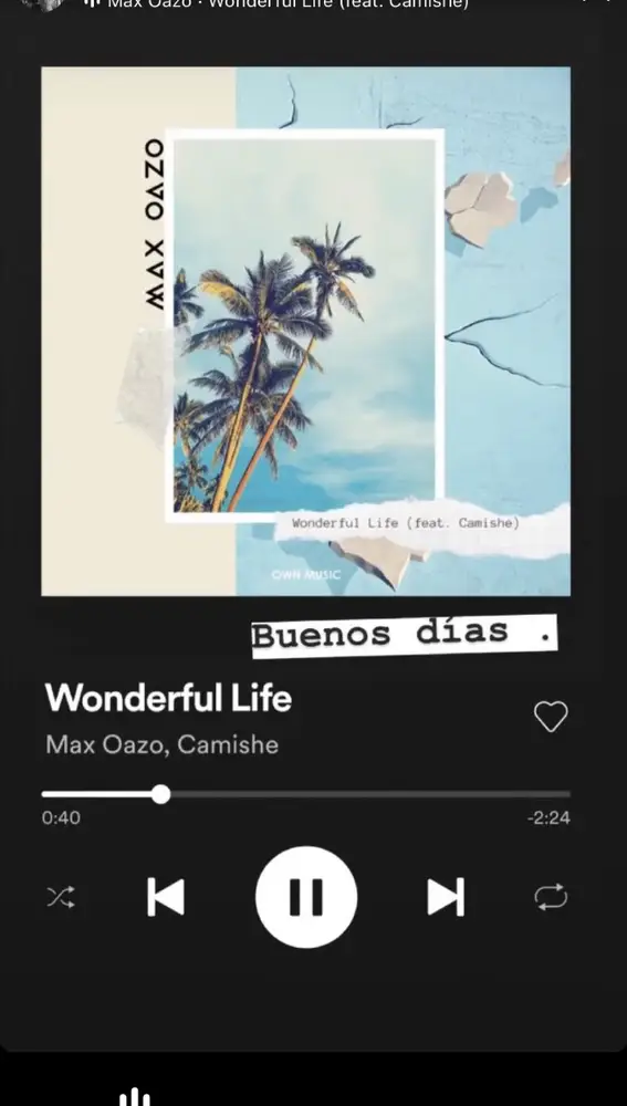 'Wonderful Life'