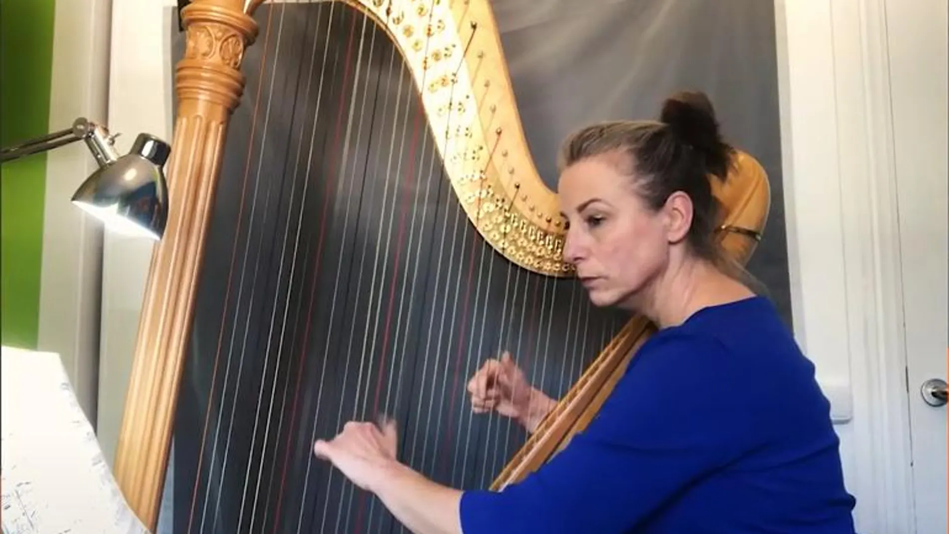 Marianne ten Voorde, arpa solistaOrquesta Sinfónica de Castilla y León