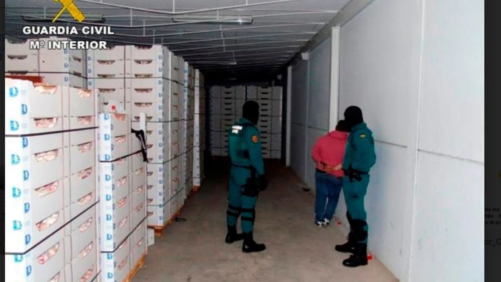 La droga era escondida en cajas de ajos
