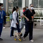 Personal médico en Ciudad de México