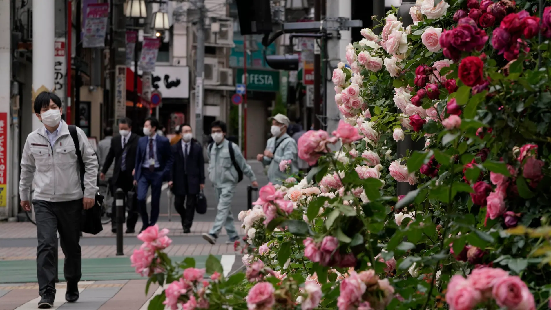 Roses attract mask-wearing people in Tokyo