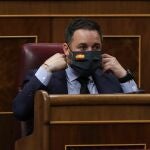 El líder de Vox, Santiago Abascal, durante el pleno de ayer en el Conreso/ Pool20/05/2020