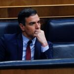 El presidente del Gobierno, Pedro Sánchez, asiste al pleno del CongresoPOOL21/05/2020