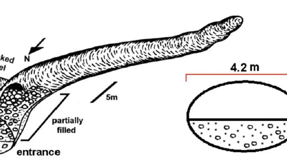 Dibujo de una cueva excavada por megaterios publicado en el artículo: Giant Paleoburrows Attributed to Extinct Cenozoic Mammals from South America