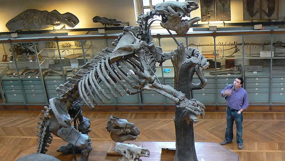 Megatherium americanum en el Museo de Historia Natural de París