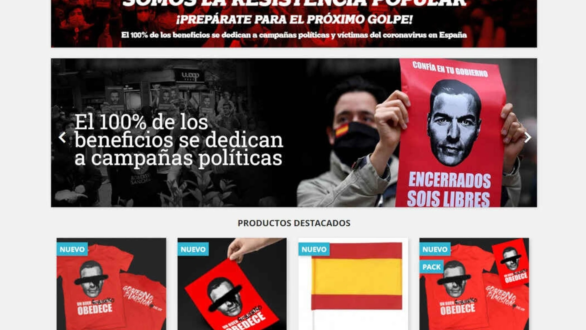 Captura de pantalla de la web 'Gobierno Dimisión', antes de ser cerrada
