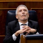 El ministro del Interior, Fernando Grande Marlaska, ha sido duramnte por las asocociaciones judiciales y fiscales por el cese del coronel De los Cobos