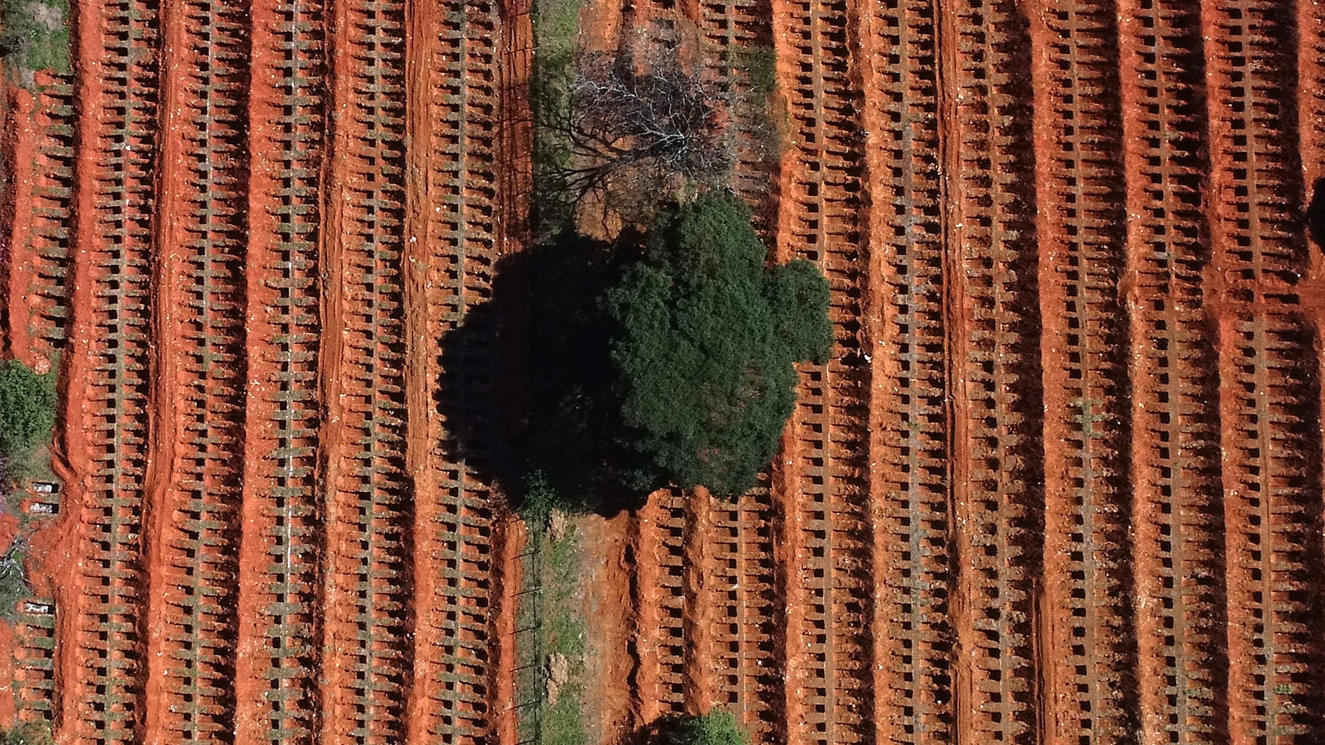 Pandemia COVID-19 en el cementerio Vila Formosa de Sao Paulo
