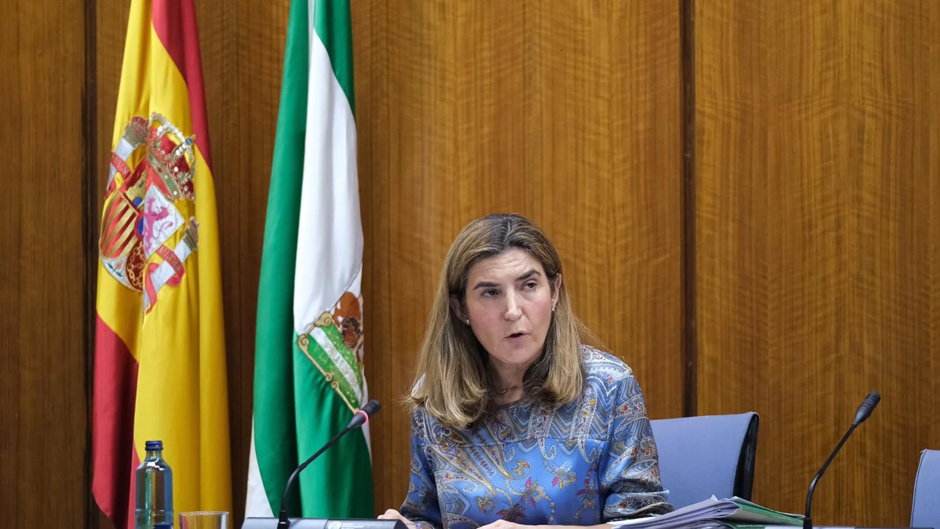 Coronavirus.- La Junta reactiva la formación "paralizada" para desempleados y sectores "más dañados" por la crisis