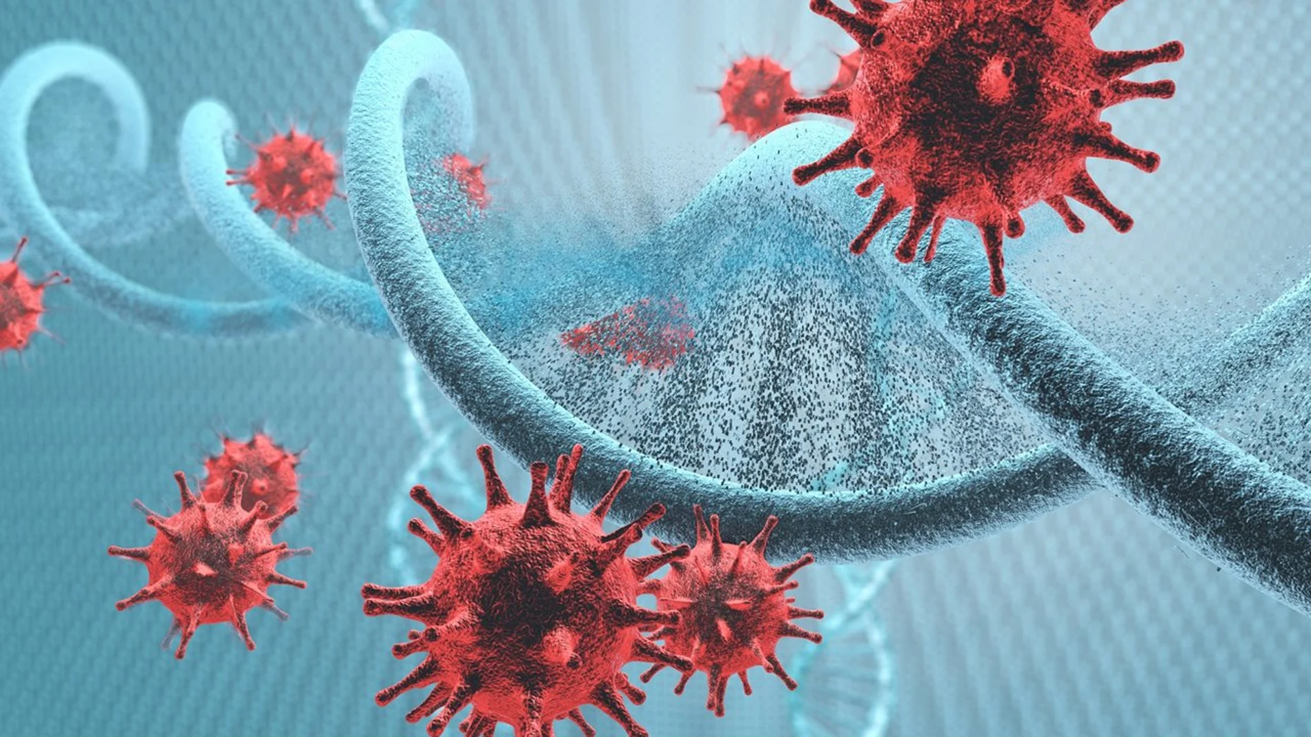 Un virus es "un rganismo de estructura muy sencilla, compuesto de proteínas y ácidos nucleicos, y capaz de reproducirse solo en el seno de células vivas específicas, utilizando su metabolismo"
