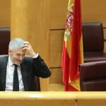 El ministro de Interior, Fernando Grande-Marlaska, durante su comparecencia ante la Comisión de Interior en el Senado/ Marta Fernández Jara / Ep29/05/2020