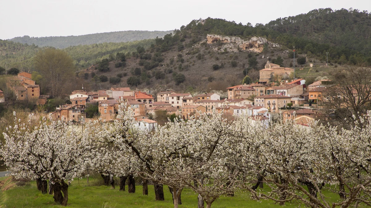 Éste es el mejor lugar para disfrutar de los cerezos en flor de España