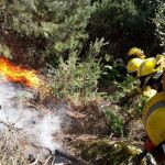 Bomberos forestales realizando tareas de consolidación del perímetro durante un incendio en la línea divisoria de Segovia y Madrid
