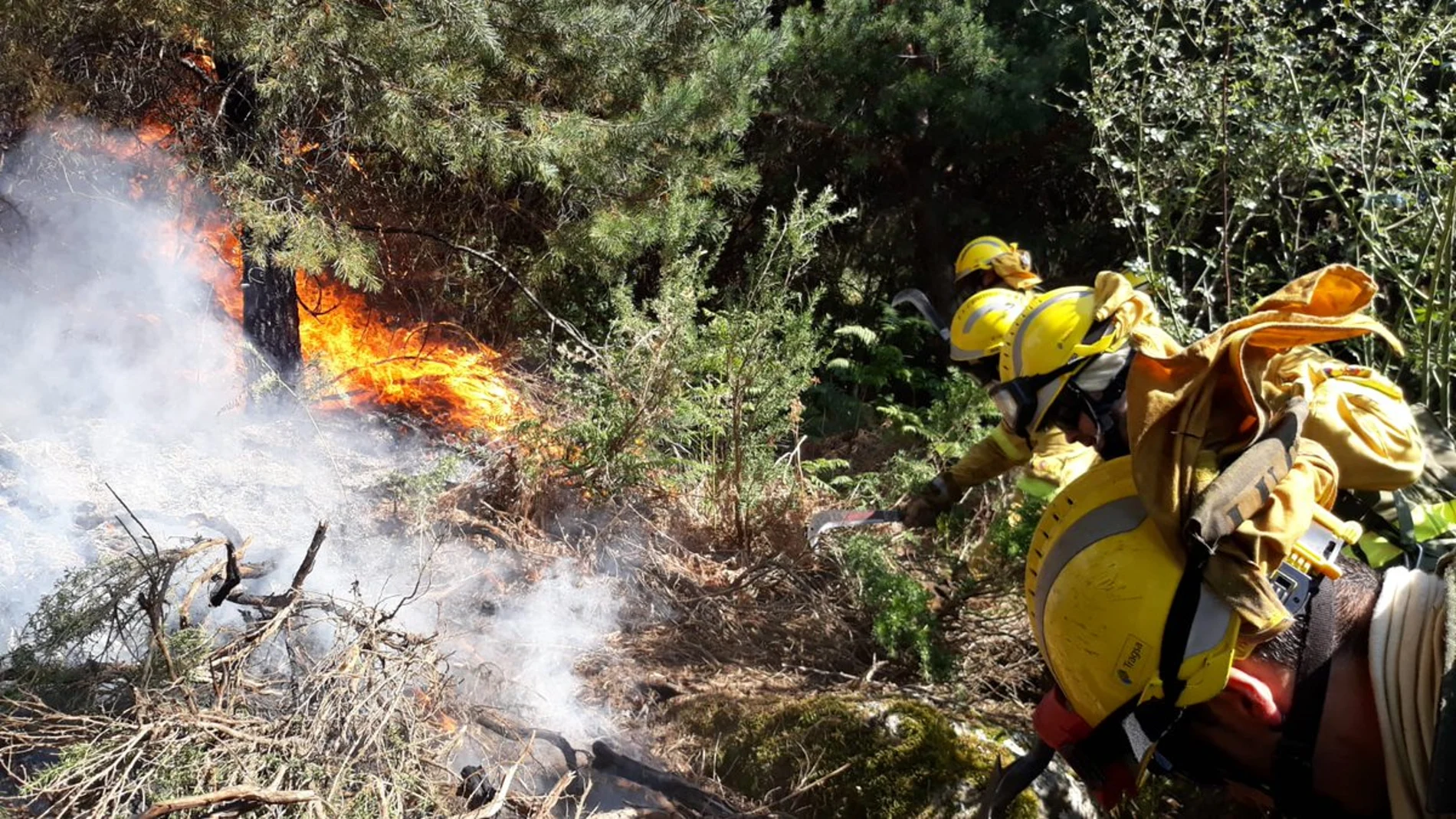 Bomberos forestales realizando tareas de consolidación del perímetro durante un incendio en la línea divisoria de Segovia y Madrid