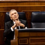 El ministro del Interior, Fernando Grande-Marlaska, durante la sesión de control al Gobierno. POOL / Ep