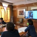 El ministro de Sanidad, Salvador Illa, se reúne con consejeros de CCAA para estudiar la desescalada
