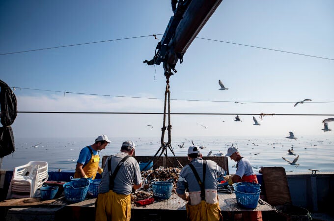 Pescadores separando los residuos obtenidos de la pesca
