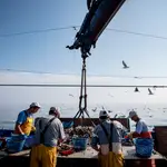 Pescadores separando los residuos obtenidos de la pesca