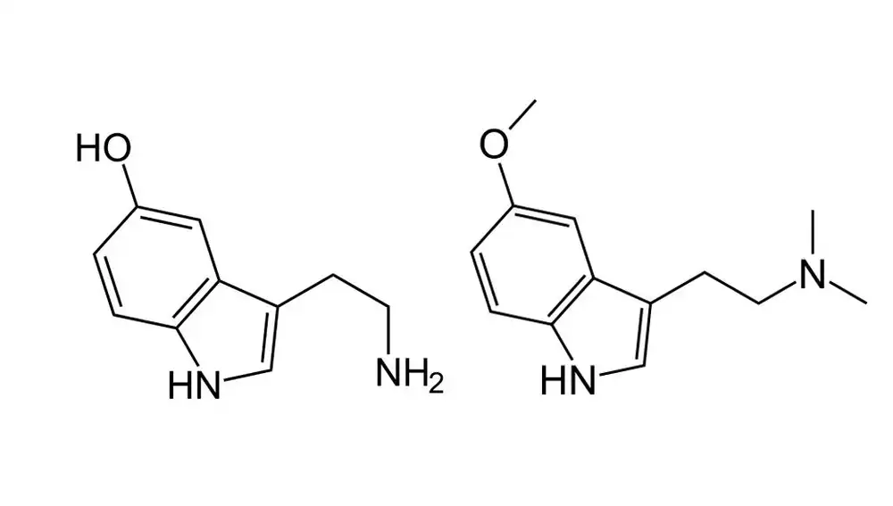 A la izquierda molécula de serotonina y a la derecha la de 5Mo-DMT