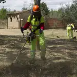 Trabajos forestales y de prevención de incendios que realizan las cuadrillas en la zona recreativa de Bretocino (Zamora)