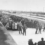 Llegada de los presos judíos húngaros al campo de concentración de Auschwitz