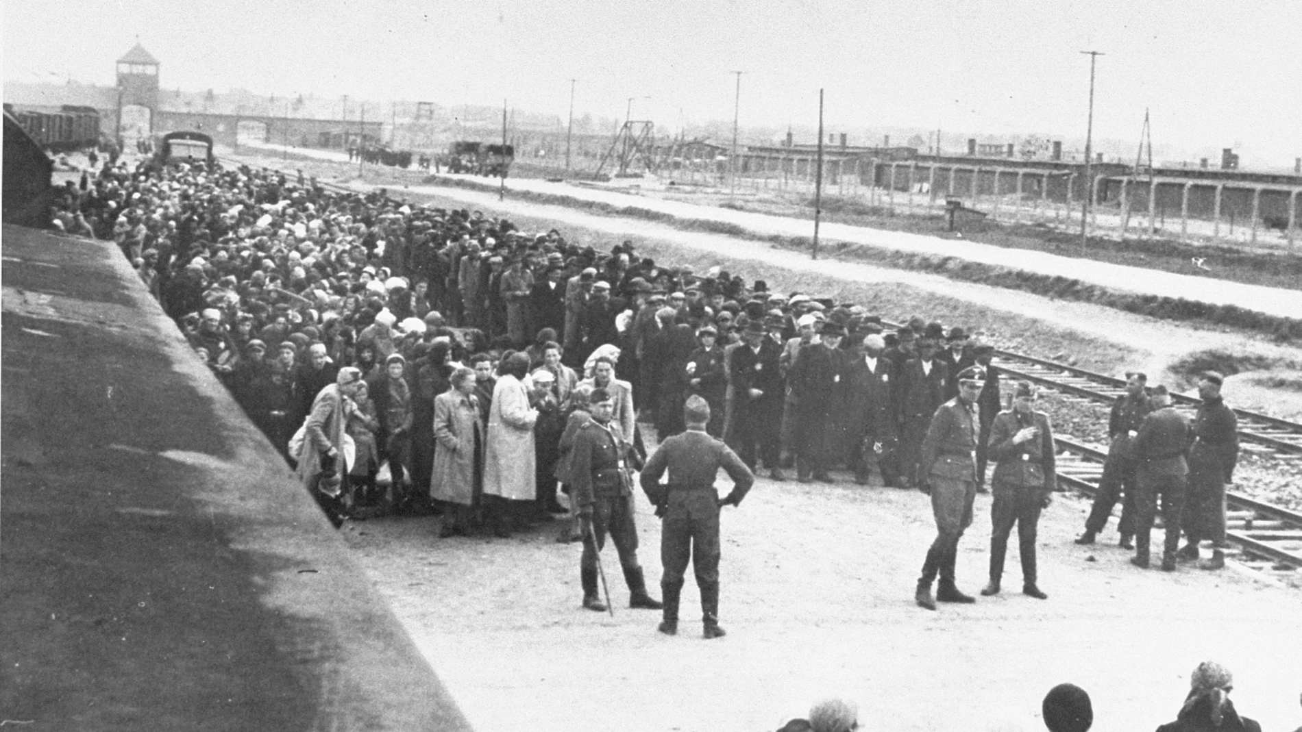 Llegada de los presos judíos húngaros al campo de concentración de Auschwitz