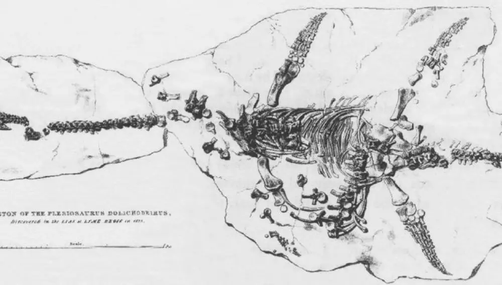 Litografía de un Plesiosaurus dolichodeirus encontrado por Mary Anning en 1823.