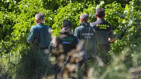 El Seprona ha llevado a cabo la investigación