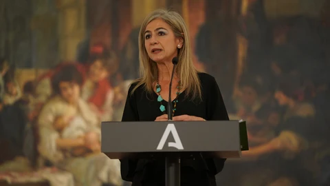 La consejera de Cultura y Patrimonio Histórico, Patricia del Pozo, en rueda de prensa en el Museo de Bellas Artes de Sevilla