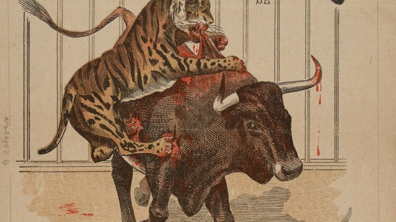 Toros contra tigres, el “hobby” que Felipe IV terminaba de un disparo