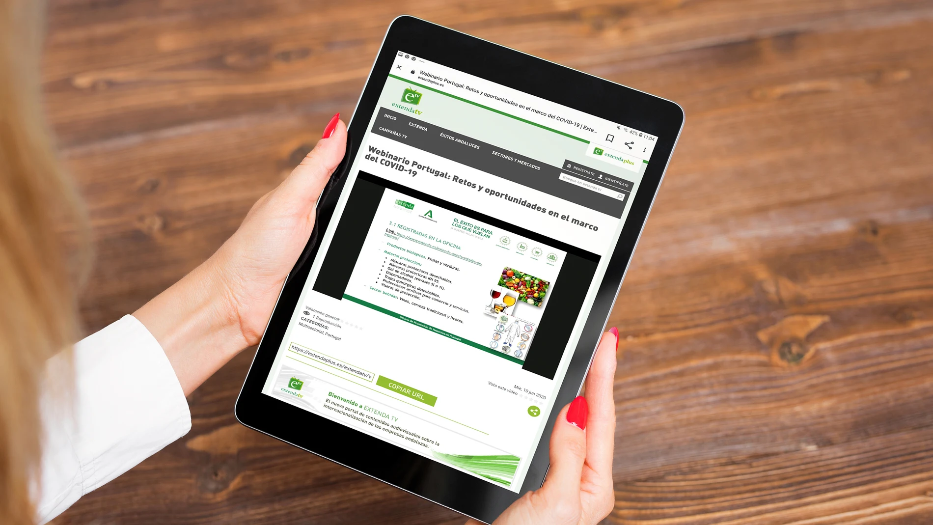 Imagen del webinario celebrado por Extenda-Agencia Andaluza de Promoción Exterior sobre Portugal