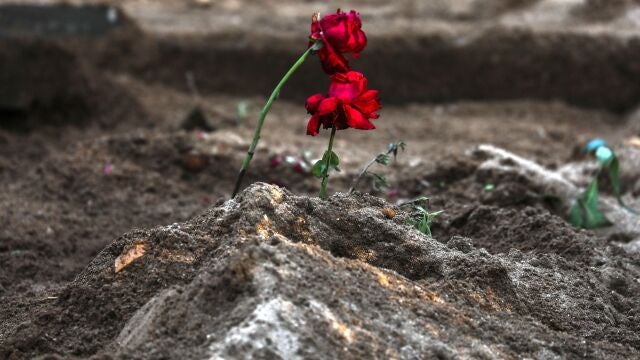 Familiares plantan rosas en las tumbas de las víctimas de Covid-19 en el cementerio de Bada Qabrastan, en Mumbai (India)